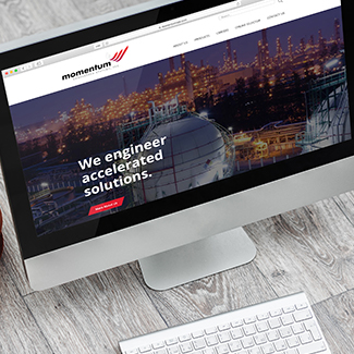 Momentum Systems Web Design