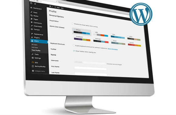 Houston WordPress website design