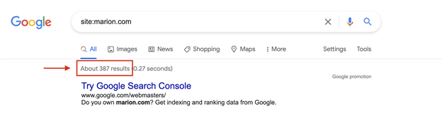 Google Results