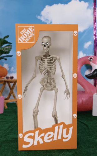Skelly the skeleton