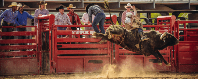 Houston Rodeo