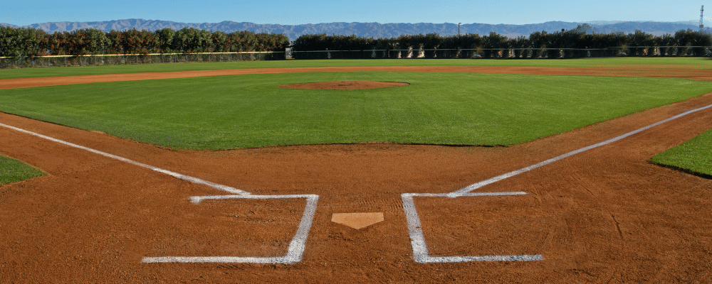 Marketing Strategies Inspired by Spring Training